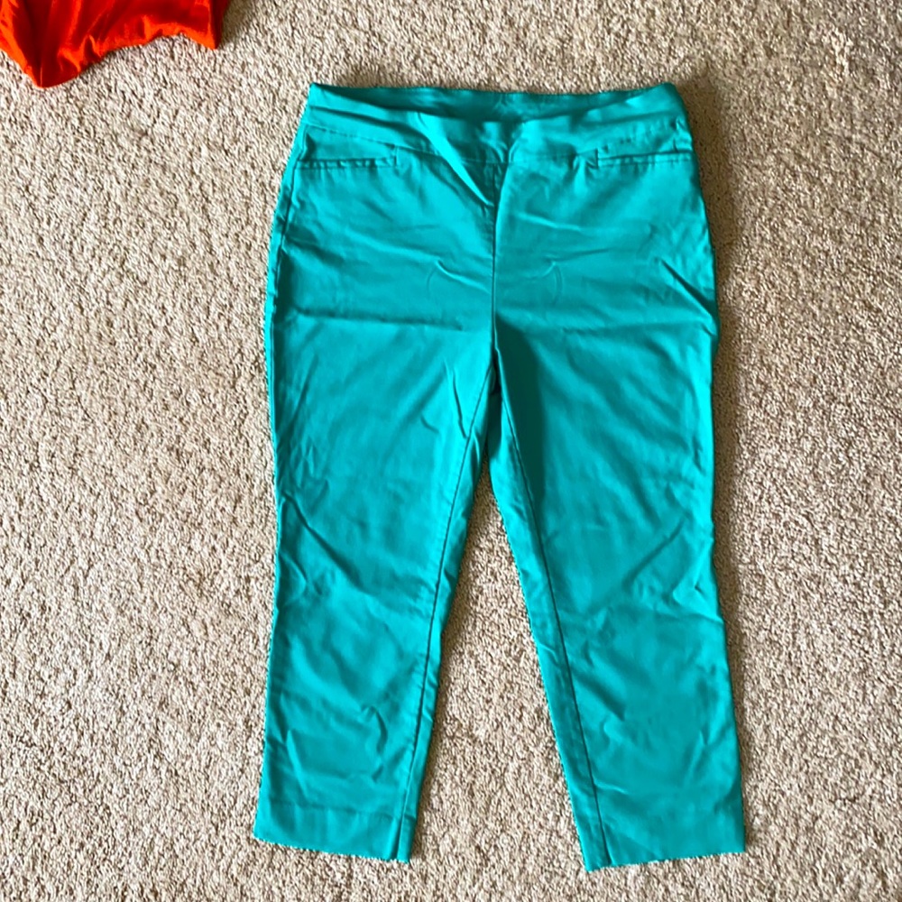 Chico Capri pants